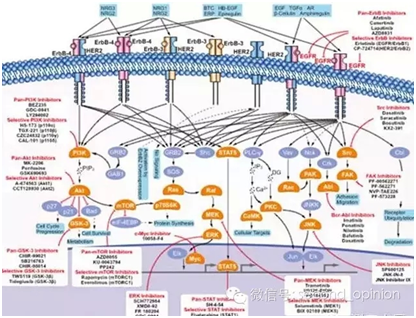 QQ图片20151118165316
