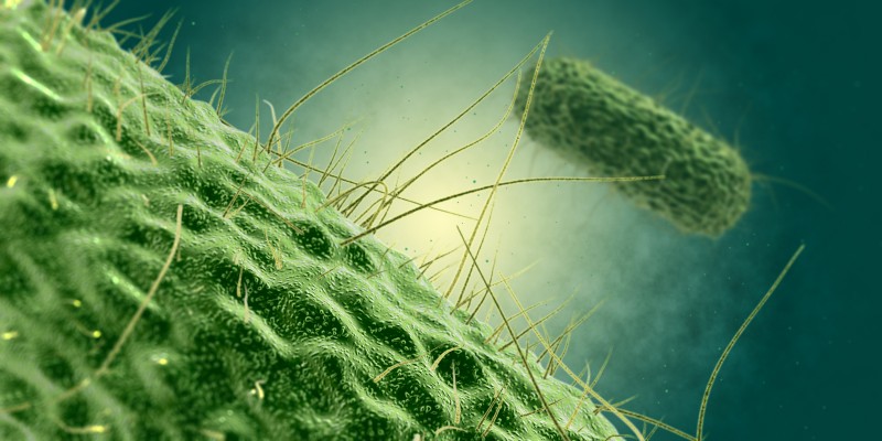 CarT细胞治疗，CarT细胞治疗原理