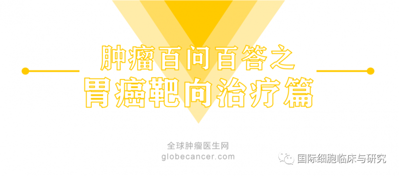 胃癌靶向药物,胃癌靶向治疗药物-曲妥珠单抗(Trastuzumab)