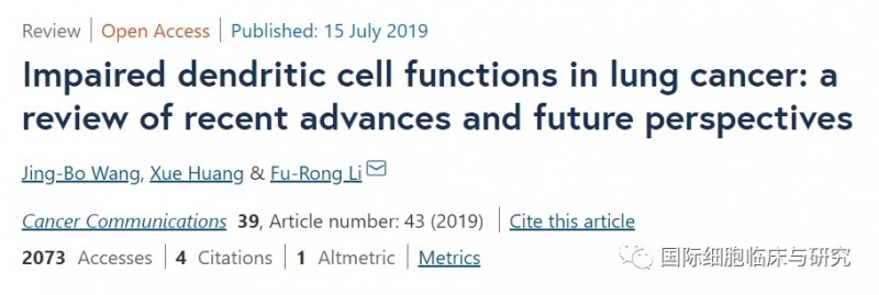 树突状细胞报道