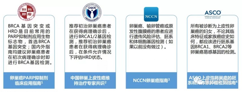 卵巢癌基因突变检测,BRCA检测、HRD检测、HRR检测助力卵巢癌BRCA突变PARP抑制剂使患者获益多达50%