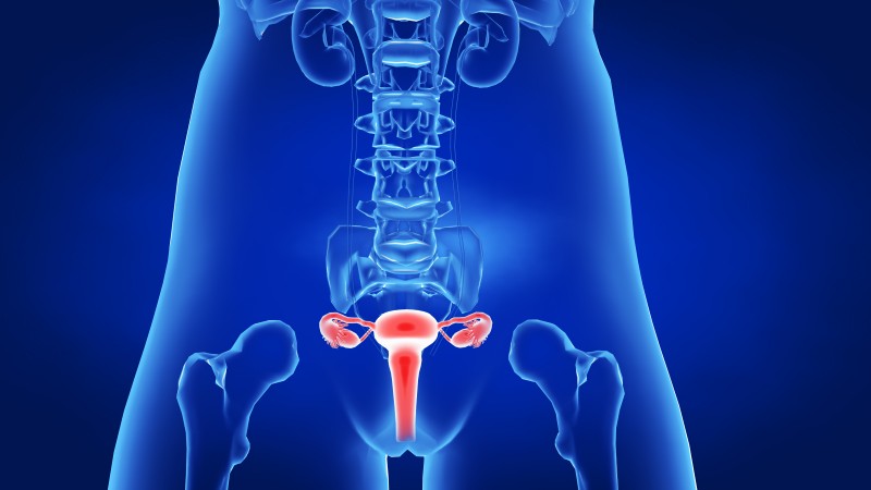 晚期卵巢癌患者能活多长时间?重要关键点取决于治疗方式