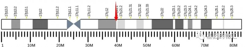 乳腺癌基因突变靶点及对应的乳腺癌靶向药物
