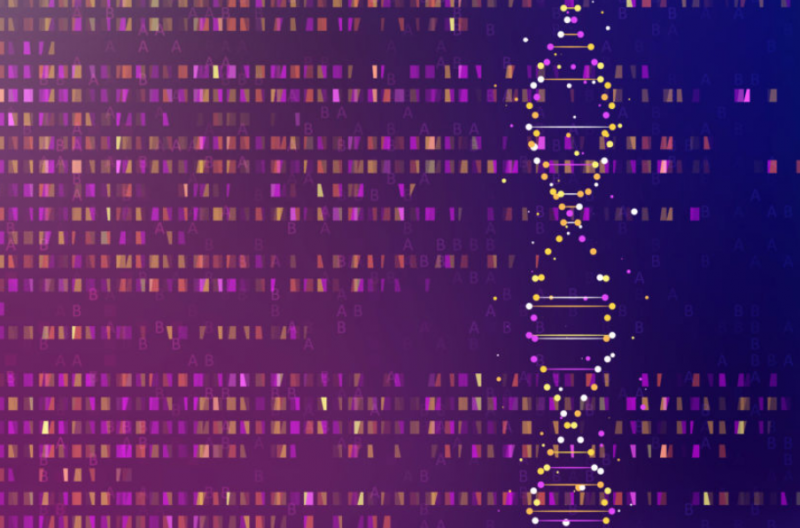 未来卵巢癌基因检测有望更好的预测卵巢癌存活率和生存率