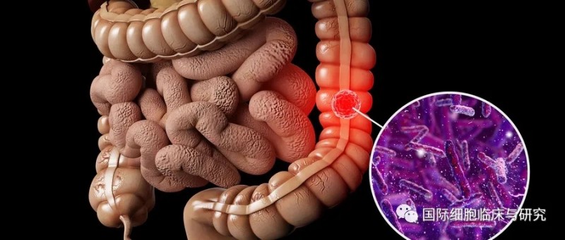 结直肠癌营养不良的危害坏处,营养不良怎么办、如何改善、如何补充营养、怎么治疗、吃什么好