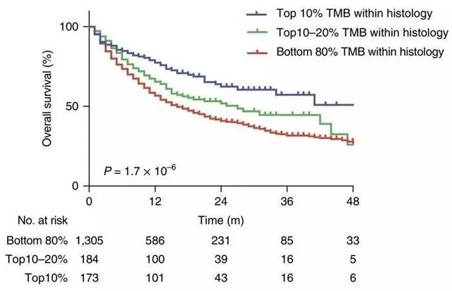 TMB越高，患者接受免疫检查点抑制剂后的整体生存率越高