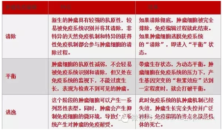 CAR-T疗法癌症无进展生存的曙光