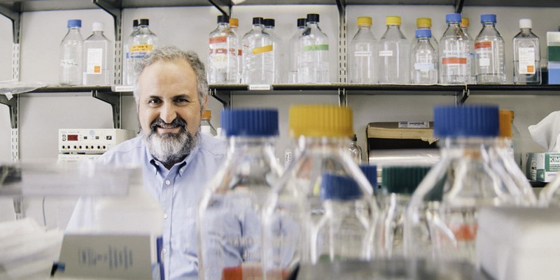 癌症的免疫应答弱原来与它有关