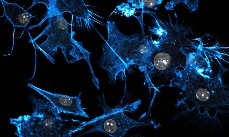 结直肠癌患病后焦虑、抑郁越来越多与这些因素有关