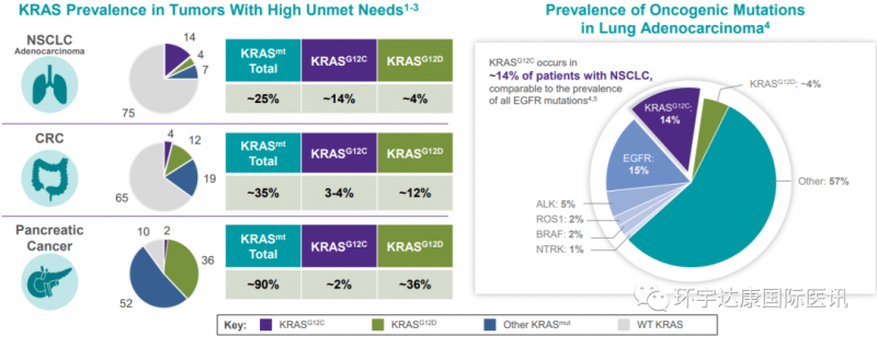 第二款KRAS基因突变靶向药新药Adagrasib(MRTX849)治疗肺癌近80%的患者肿瘤缩小甚至消失