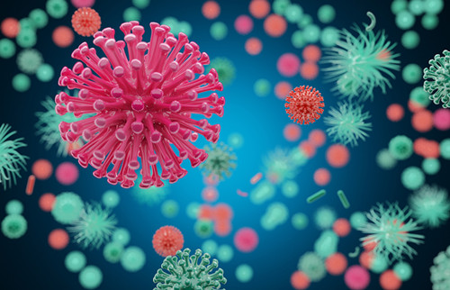 男人多吃四种食物，降低前列腺癌的患病率不是难事