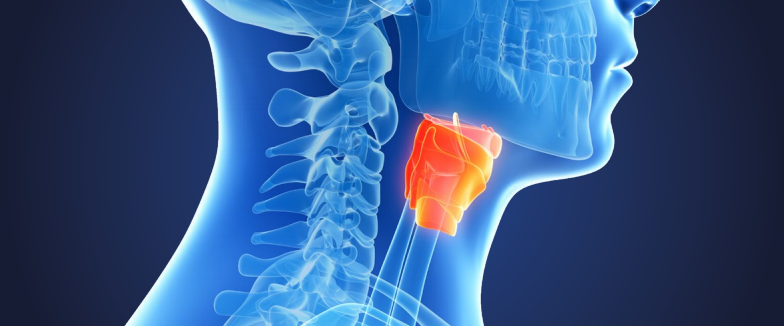美国公布  口腔癌、咽喉癌的饮食、营养、运动建议（第三版癌症预防报告）