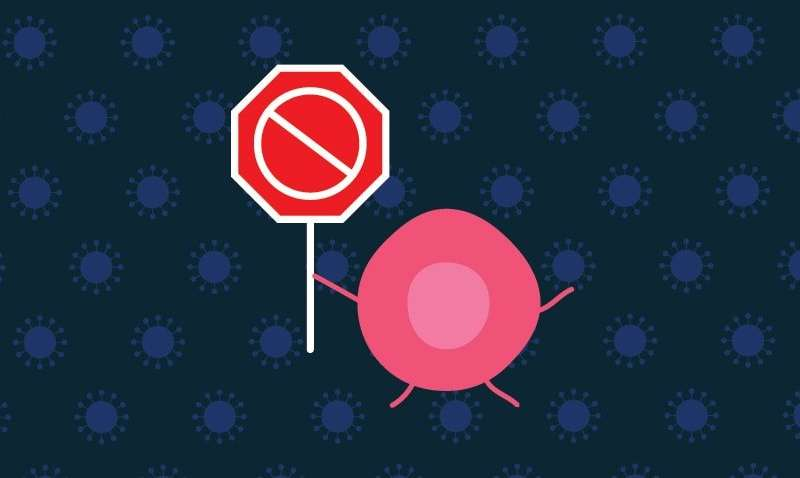 科学家的惊人发现：免疫细胞活性可能限制免疫治疗