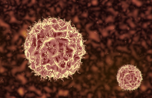 胃腺癌靶向药，胃腺癌靶向药有哪些，胃腺癌靶向药价格