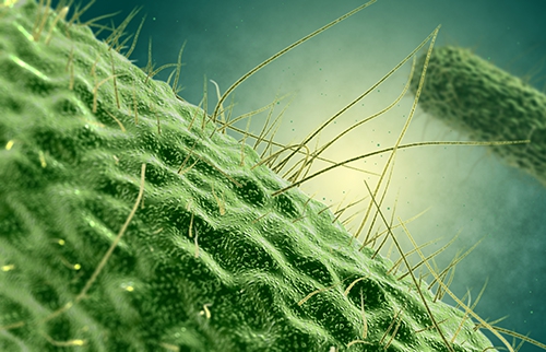 免疫抑制治疗，免疫抑制治疗是什么意思