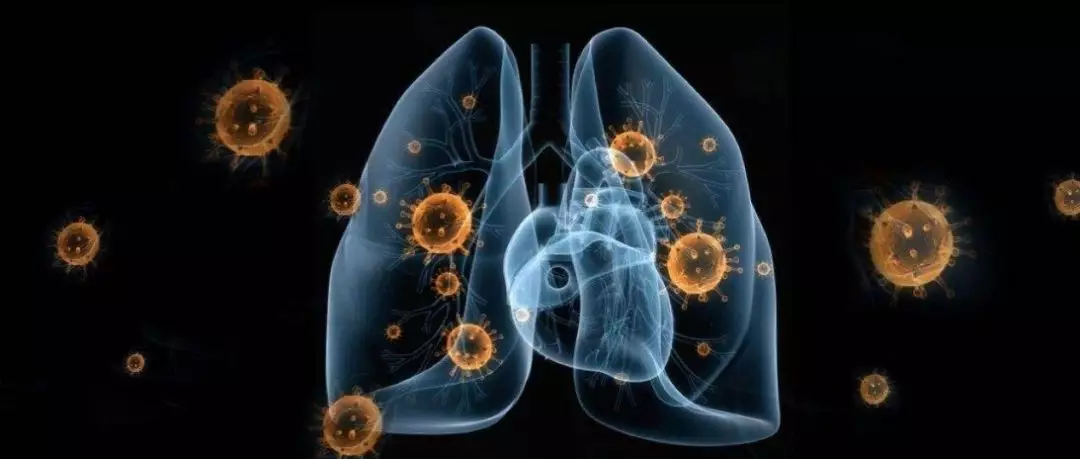 免疫细胞与肺炎 免疫细胞与肺炎