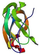 利用干细胞有望治疗阿尔茨海默病(图2)