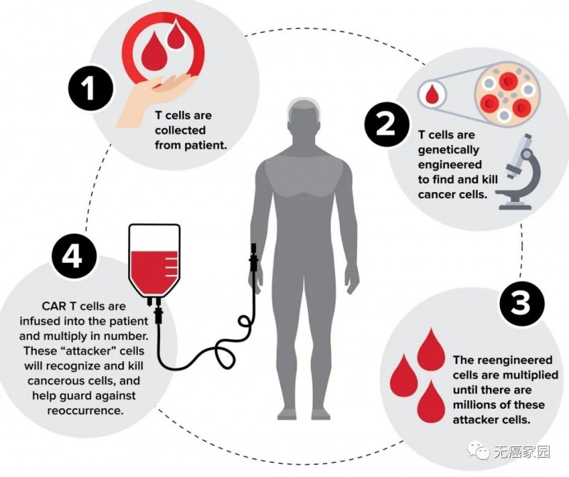 助力CAR-T疗法全面升级，让严重副作用消失殆尽