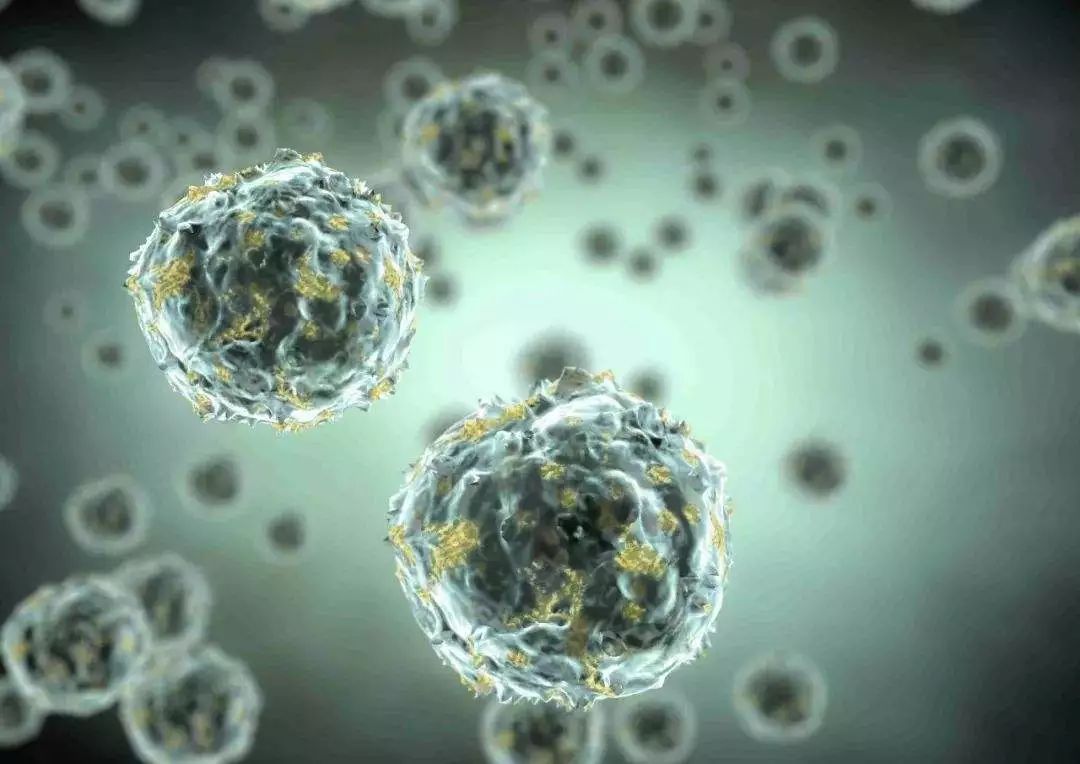 好消息！β细胞纯化难题获解，糖尿病干细胞疗法即将着陆！