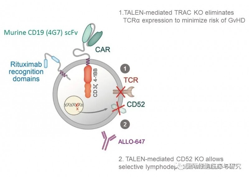 总缓解率78%！五大全球顶级癌症中心专家解读CAR-T疗法的应用