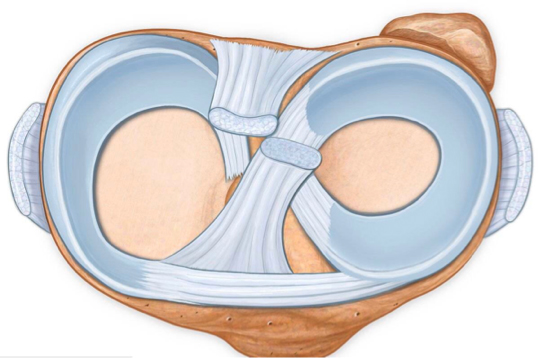 膝盖突然疼痛无力，有可能是得了这种病，一定要警惕！