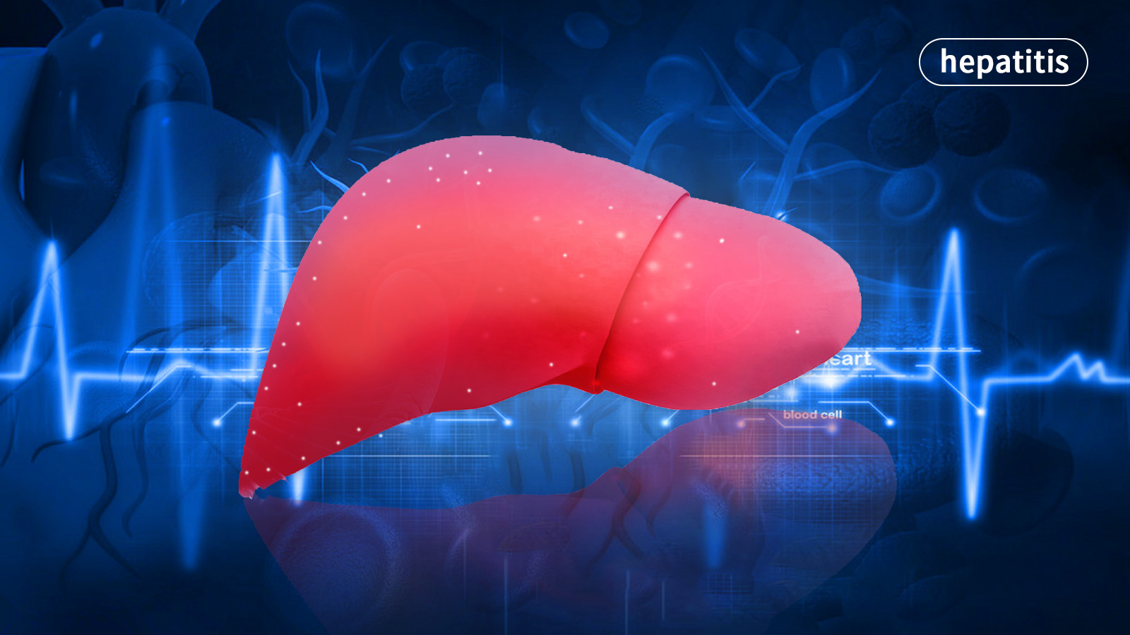 干细胞治疗 干细胞治疗