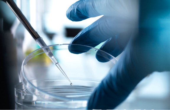 干细胞治疗 干细胞治疗