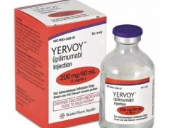 Ipilimumab(伊匹单抗)